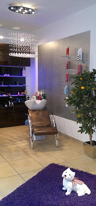 galerie-blick zum waschtisch mit dem hund im blick